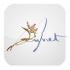 Jeunet Co